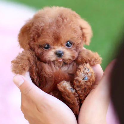 Robot Plush Pets
