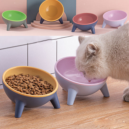 Bol pour chat et chien avec support