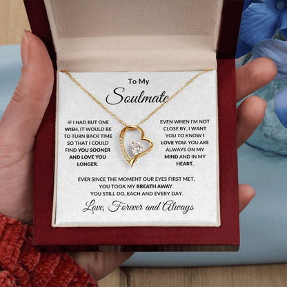My Soulmate The Day I Met You Forever Love Necklace