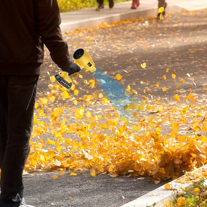 Souffleur de feuilles sans fil Turbo