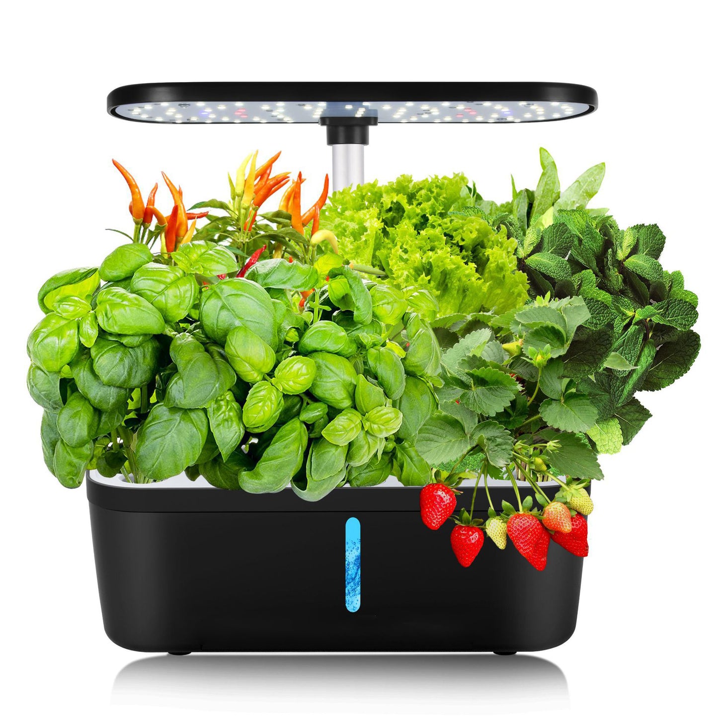 Indoor Herb Garden System