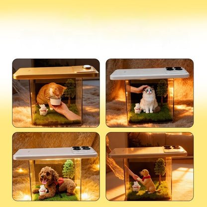 Pet Holographic Projection