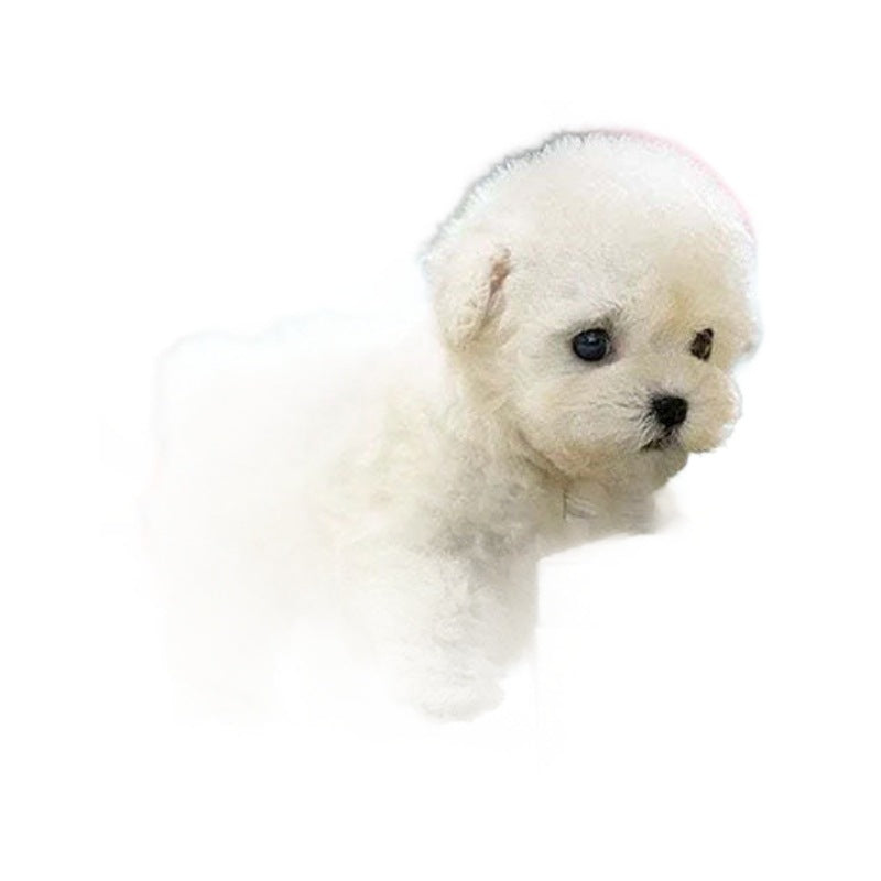 Robot Plush Pets