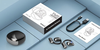 Smart AI Translation Earbuds