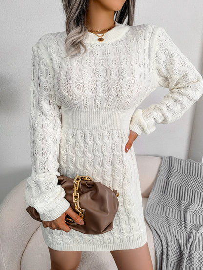Casual Knit Waist Cinched Bodycon Sweater Dress