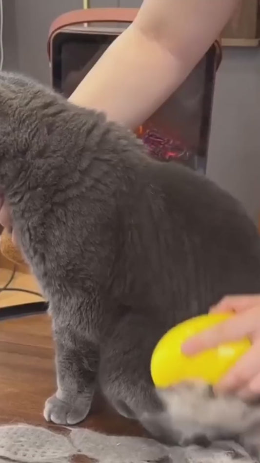 Brosse à poils d'animaux à vapeur