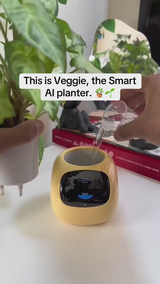 Jardinière intelligente