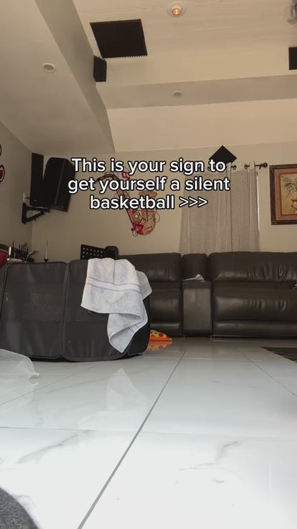 Indoor Silent Basketball